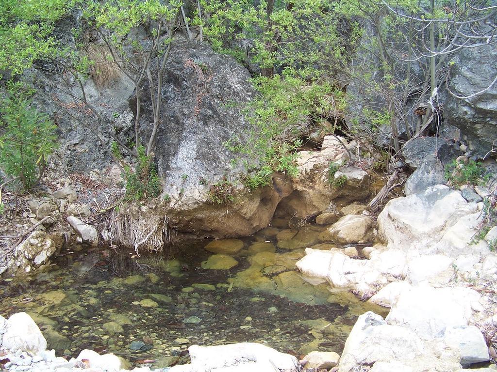 Hostal Sango Sierra De Las Nieves Alozaina Zewnętrze zdjęcie